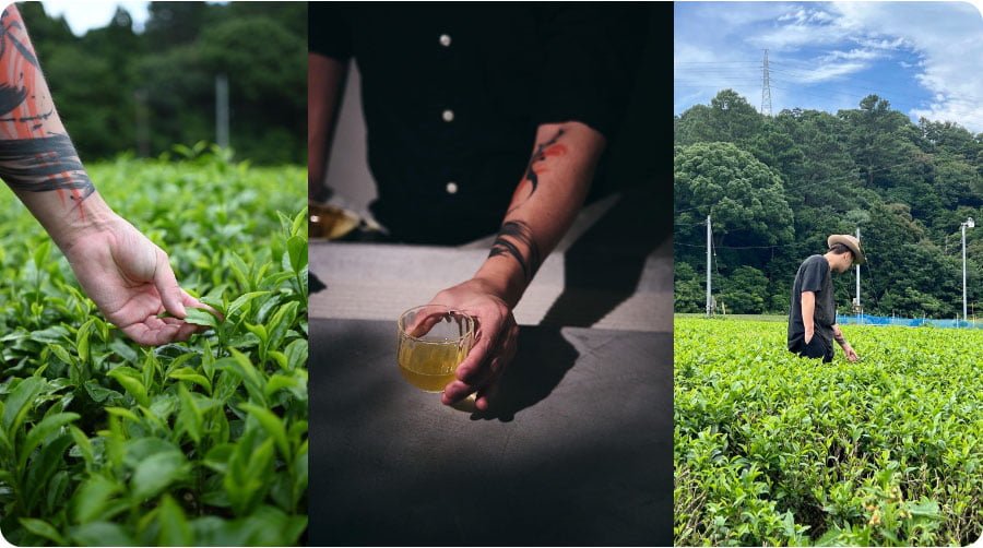 オリジナル煎茶「碧香」