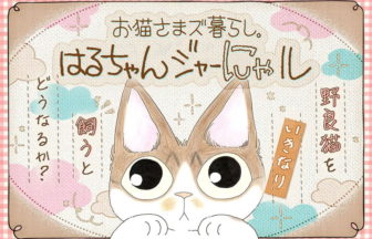 お猫さまズ暮らし。はるちゃんジャーにゃル