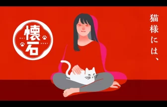 2025年全国猫咪调查