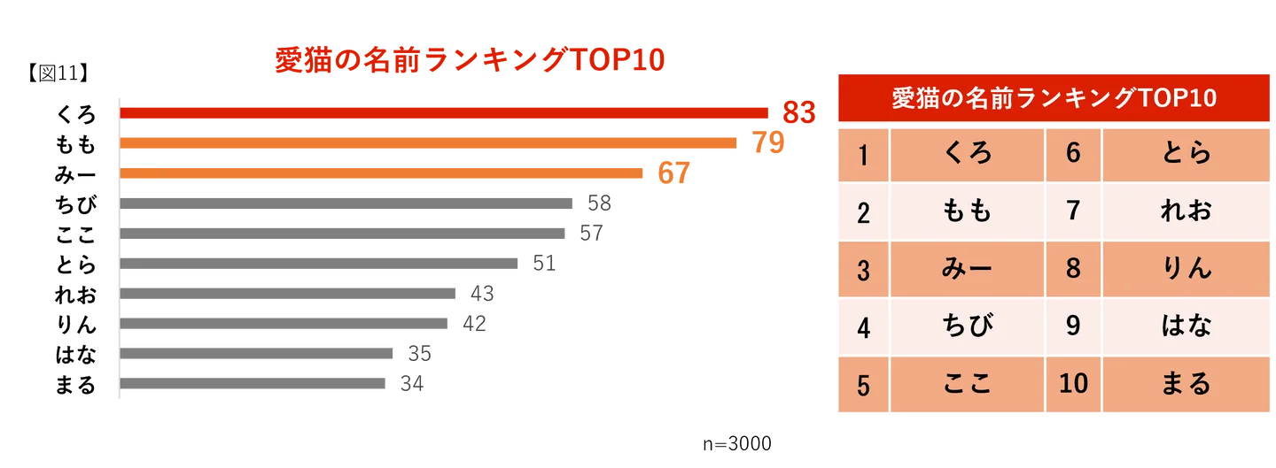猫の名前ランキングTOP10