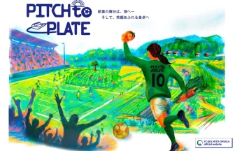 PITCH to PLATE Part 2