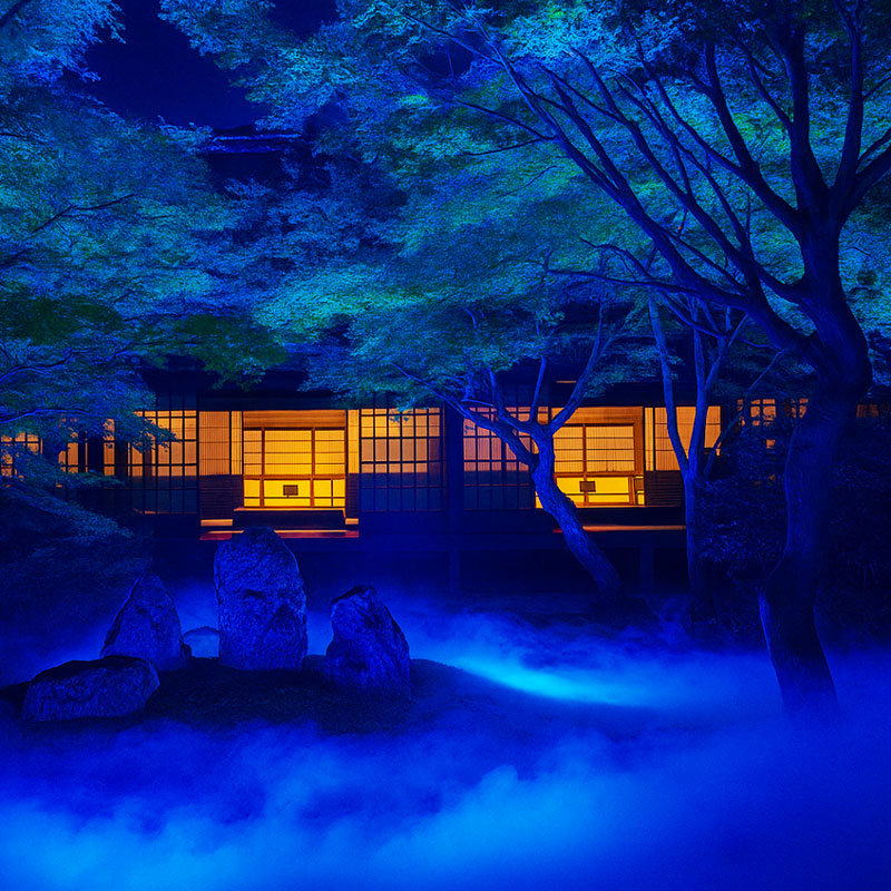 夜間特別拝観プロジェクションマッピング