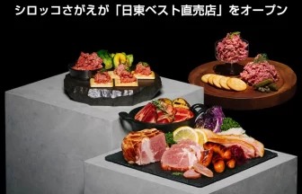 Nitto Best Direct Sales Store