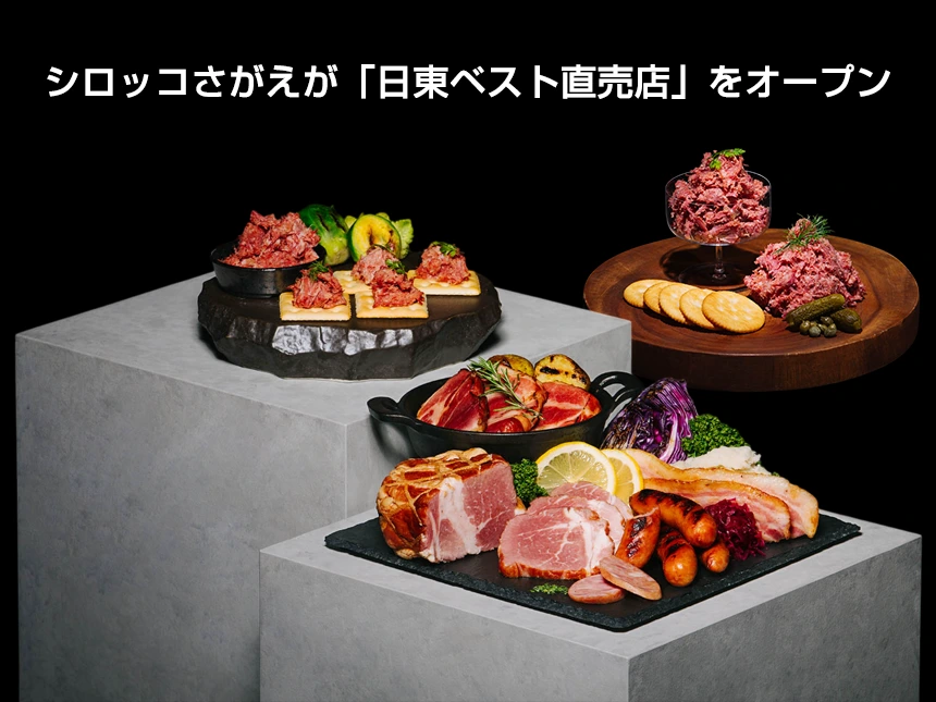 Nitto Best Direct Sales Store