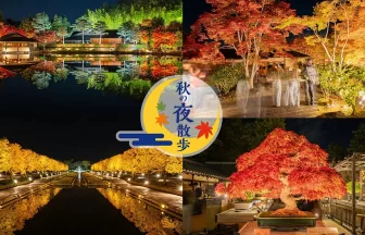 昭和纪念公园举办的“2025年黄叶红叶节暨秋夜漫步”