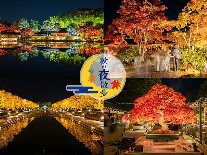 昭和纪念公园举办的“2025年黄叶红叶节暨秋夜漫步”