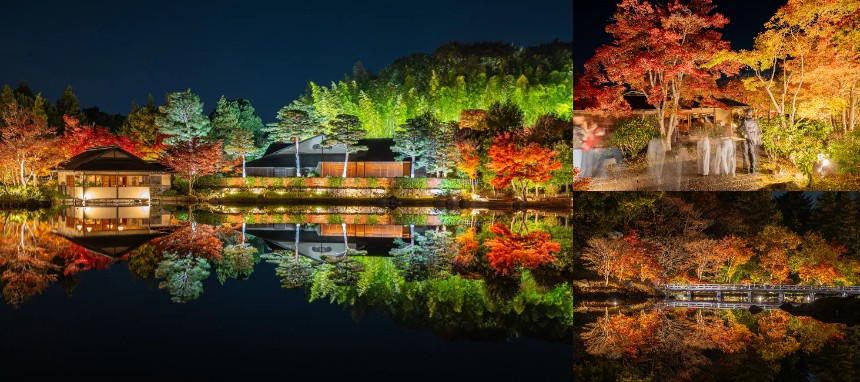 光と紅葉が織りなす幻想の空間