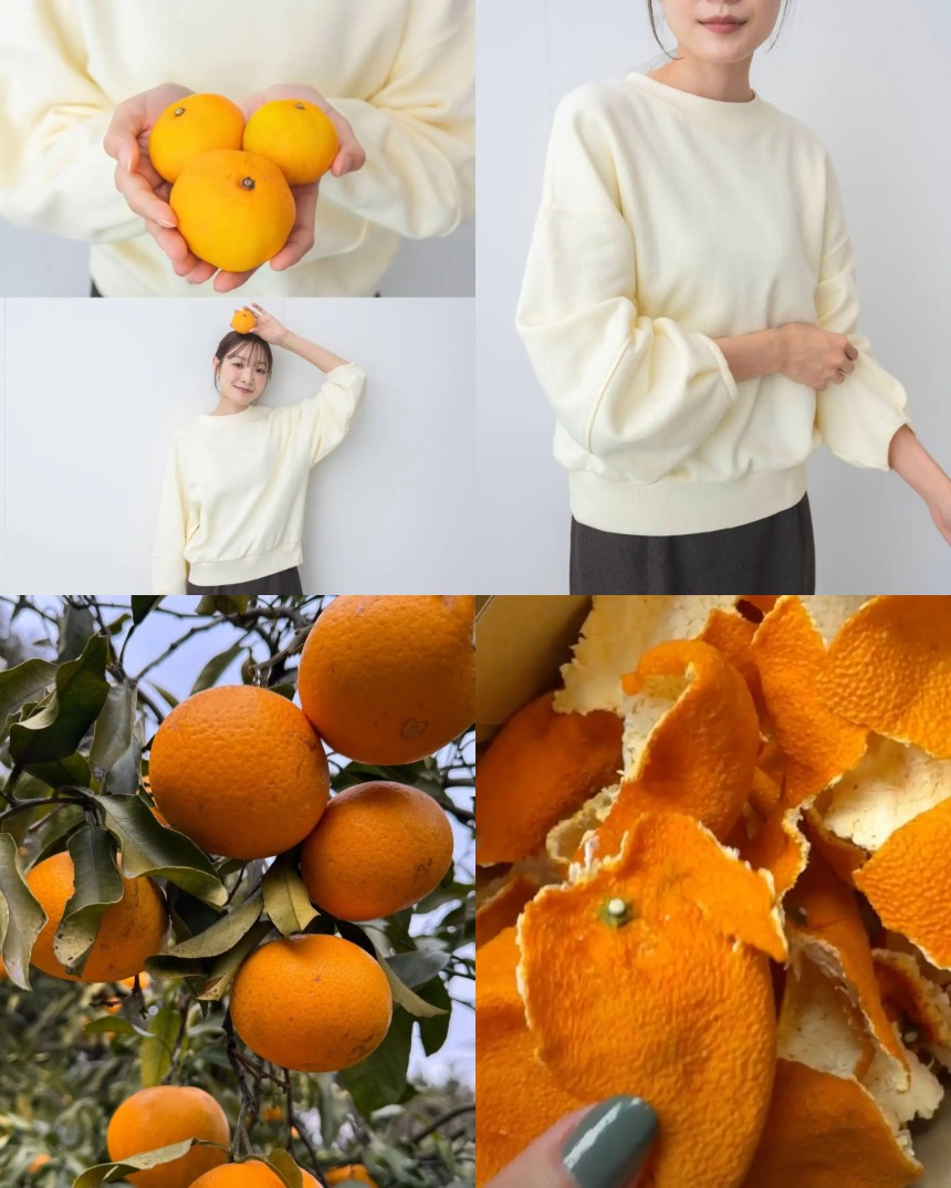 みかんの果皮と剪定枝葉から生まれたスウェット