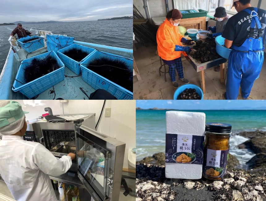 ガンガゼを“宝”に変える